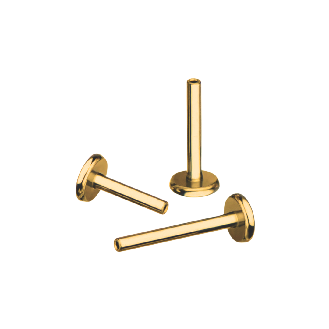 PVD Gold Labret post