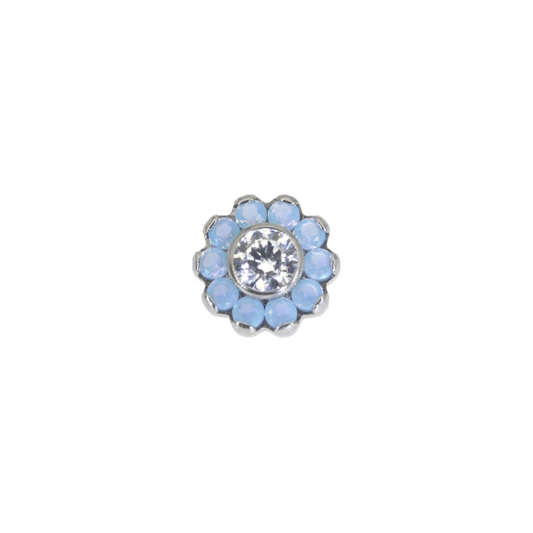 Blue opal flower
