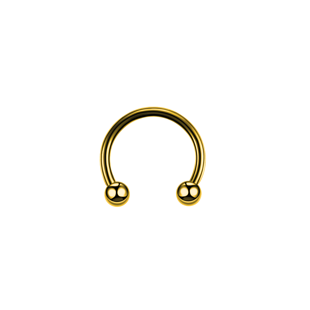 PVD Gold Circular barbell