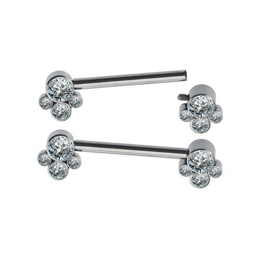 Nipple barbell with gems