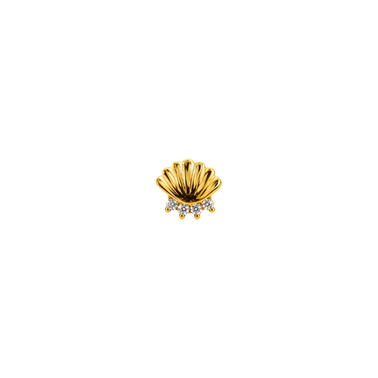 PVD Gold Shell